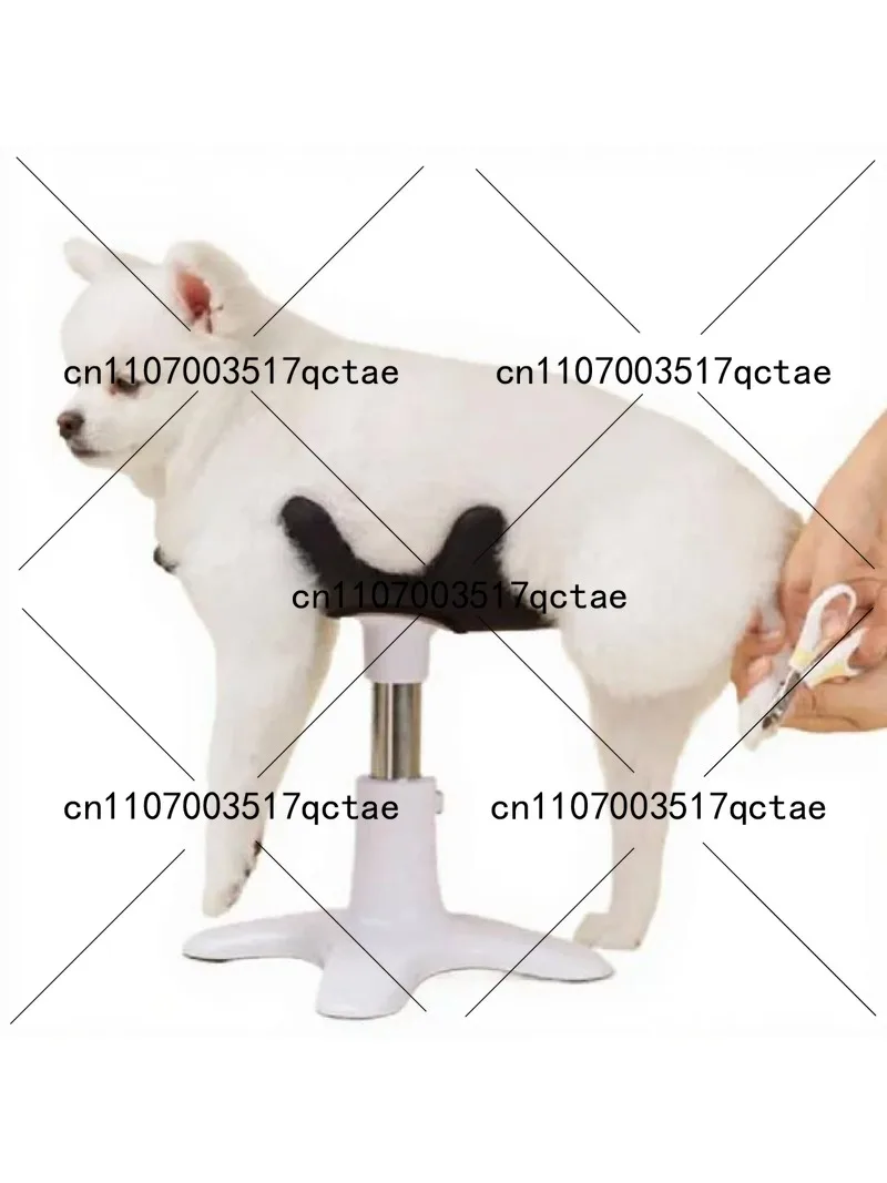 Pet Grooming Table Multi-Function Dog Fixing Rack with Bathing Nail Care And Hair Drying Station
Pet Grooming Table Multi-Function Dog Fixing Rack with Bathing Nail Care And Hair Drying Station