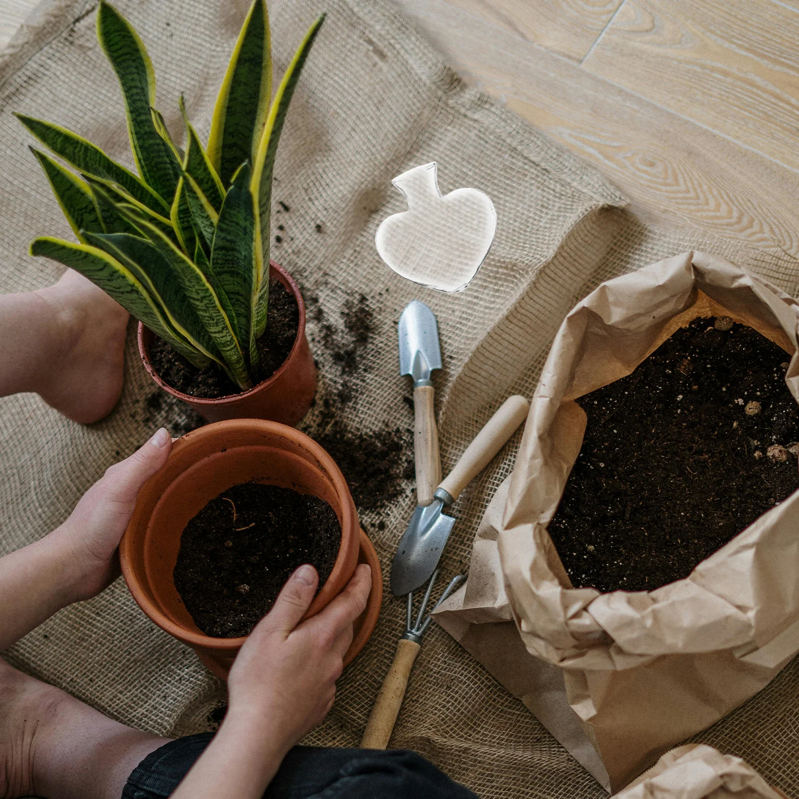 Decorative Heart Shape Hydroponic Glass Flower Vase Plant Planter Home Office Garden Flower Holder Glass Plant Bottle
Decorative Heart Shape Hydroponic Glass Flower Vase Plant Planter Home Office Garden Flower Holder Glass Plant Bottle