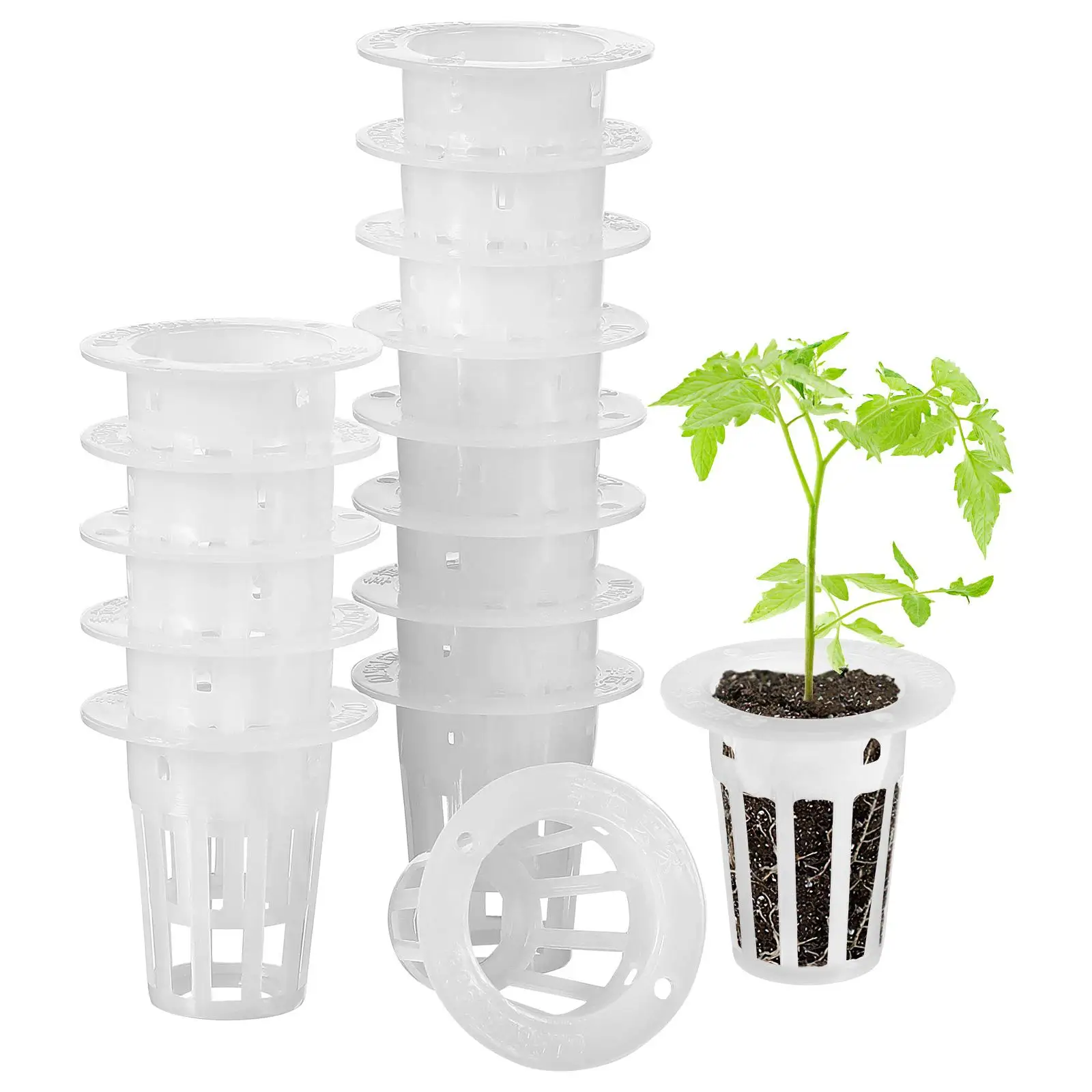 Hydroponic Net Cups Root Fixer Wide Lip Easy Transport White Plastic Pots Soilless Culture Healthy Roots Growth System Plant
Hydroponic Net Cups Root Fixer Wide Lip Easy Transport White Plastic Pots Soilless Culture Healthy Roots Growth System Plant