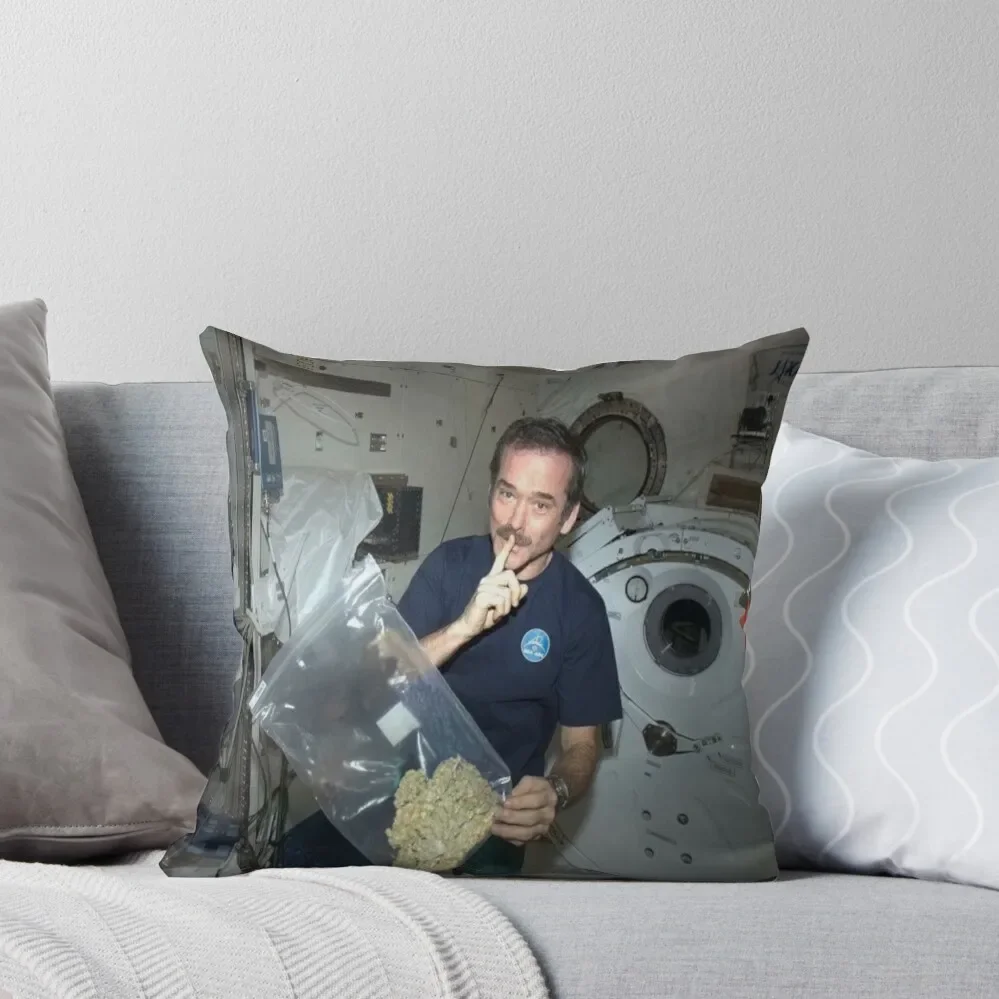Astronaut with Weed Throw Pillow Pillowcase Cushion Decorative Cushion Cover Covers For Sofas pillow
Astronaut with Weed Throw Pillow Pillowcase Cushion Decorative Cushion Cover Covers For Sofas pillow