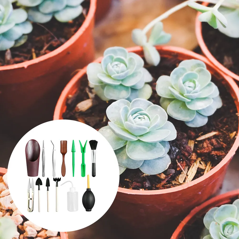 13Pcs Mini Gardening Tools Set Lightweight Ergonomic Hand Tools for Succulents Bonsai Indoor Plants Transplanting Weeding
13Pcs Mini Gardening Tools Set Lightweight Ergonomic Hand Tools for Succulents Bonsai Indoor Plants Transplanting Weeding