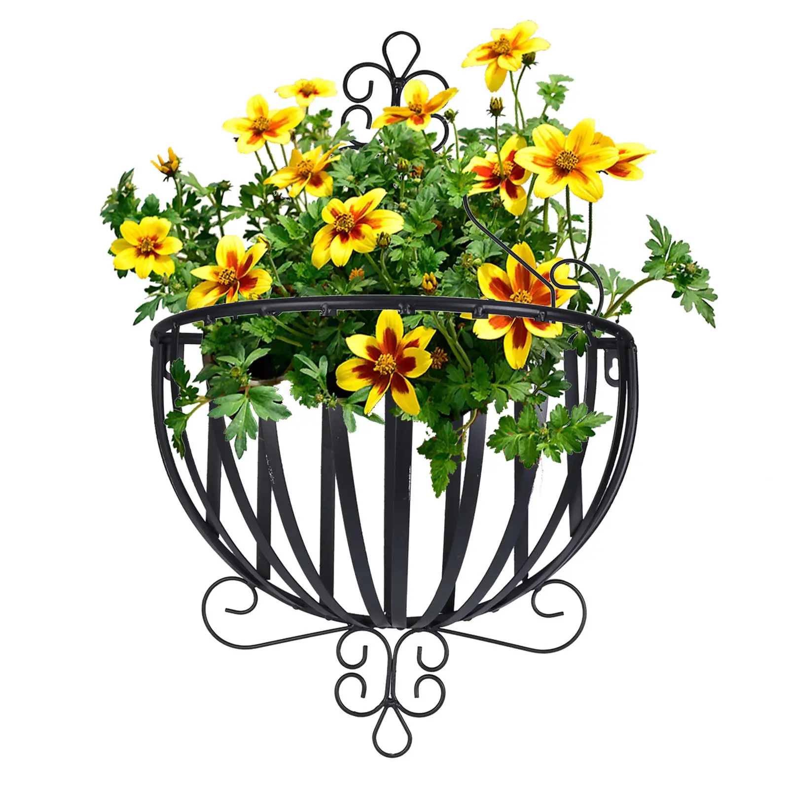 Iron Wall Mounted Flowerpot Holder Semicircular European Design Plant Stand for Terracotta Pots Windowsill Tabletop Balcony
Iron Wall Mounted Flowerpot Holder Semicircular European Design Plant Stand for Terracotta Pots Windowsill Tabletop Balcony