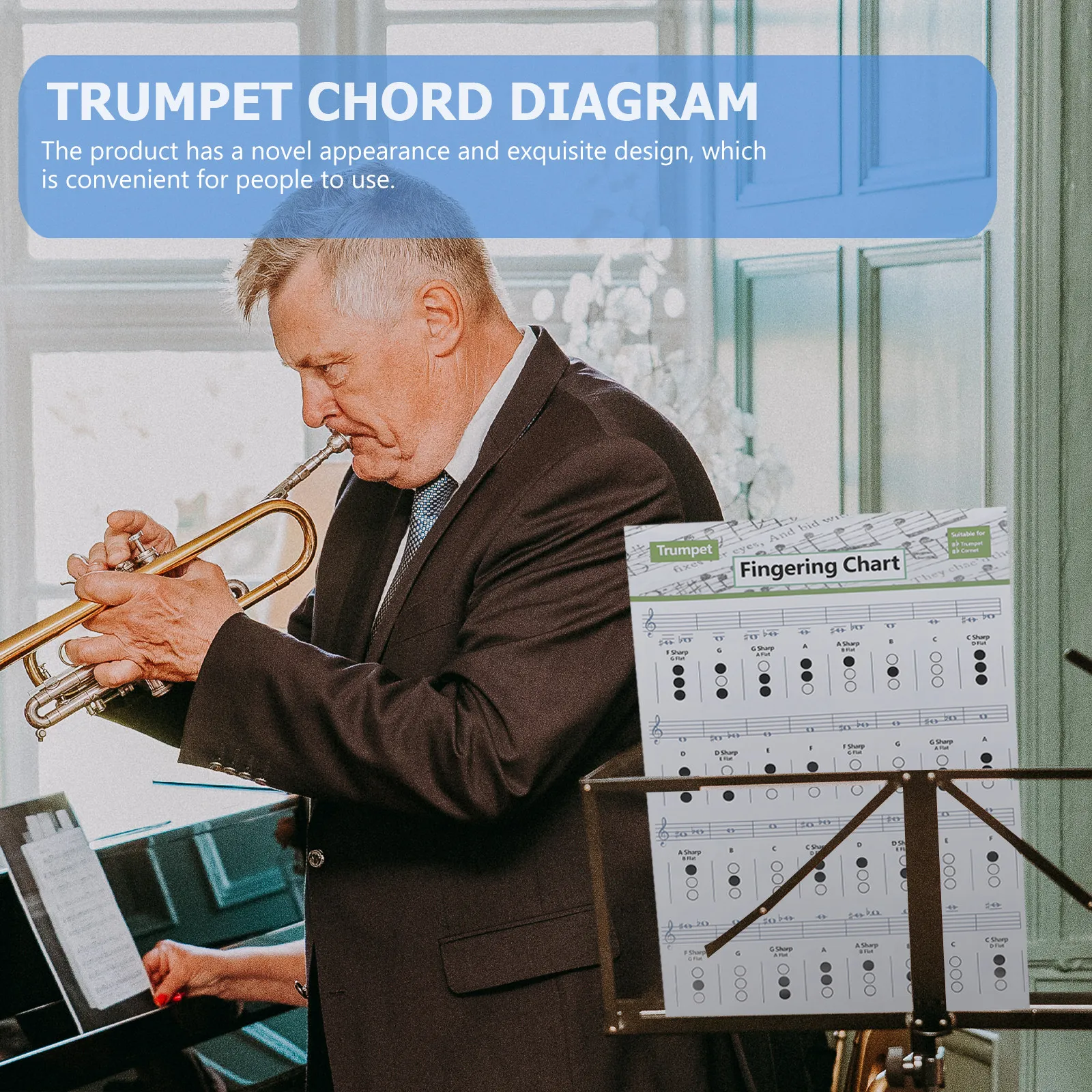 1Pcs Trumpet Chord Chart Practice Poster Assorted Color Quick Mastery Guide Beginner Learning Visual Aid Music Notes Chart
1Pcs Trumpet Chord Chart Practice Poster Assorted Color Quick Mastery Guide Beginner Learning Visual Aid Music Notes Chart
