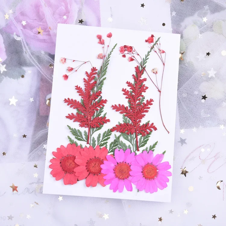 10pcs/lot,Natural Pressed flower daisy leaves,Eternelle rose petals materials for DIY Bookmark Gift Card Embossed photo frame
10pcs/lot,Natural Pressed flower daisy leaves,Eternelle rose petals materials for DIY Bookmark Gift Card Embossed photo frame