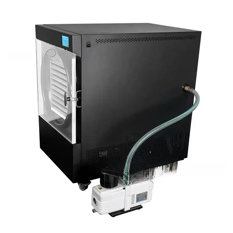 Strawberry Crispy Food Fruit And Vegetable Pet Snacks HLFD-20PRO Vacuum Freeze Dryer
Strawberry Crispy Food Fruit And Vegetable Pet Snacks HLFD-20PRO Vacuum Freeze Dryer