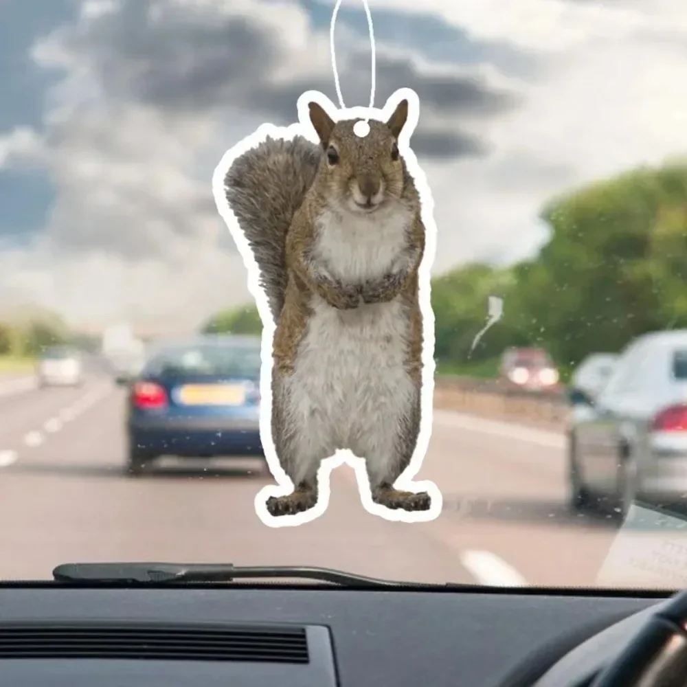 1/5/10 Pieces, Upright Squirrel Car Aromatherapy - Cute Standing Shape, Rearview Mirror Car Accessories, Pendant Aromatherapy
1/5/10 Pieces, Upright Squirrel Car Aromatherapy - Cute Standing Shape, Rearview Mirror Car Accessories, Pendant Aromatherapy