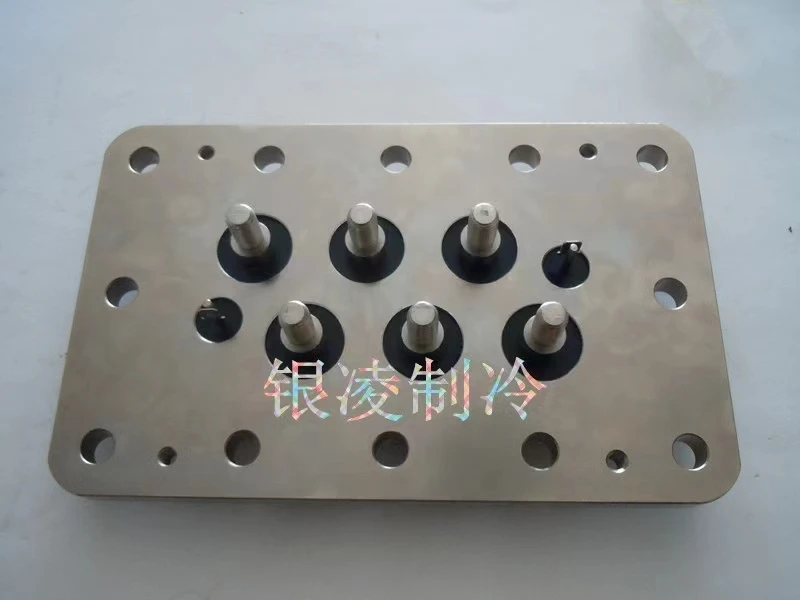 Rifcon BITZER Snow Eagle screw compressor terminal block refrigeration air conditioner refrigerator terminal board terminal bloc
Rifcon BITZER Snow Eagle screw compressor terminal block refrigeration air conditioner refrigerator terminal board terminal bloc