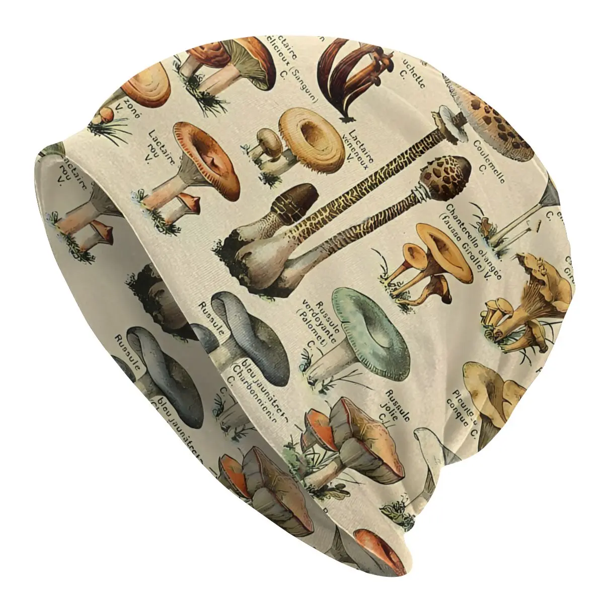 Mushrooms Champignons Men Women Beanies Cycling Ski Cap Double Layer Fabric Bonnet Hat
Mushrooms Champignons Men Women Beanies Cycling Ski Cap Double Layer Fabric Bonnet Hat