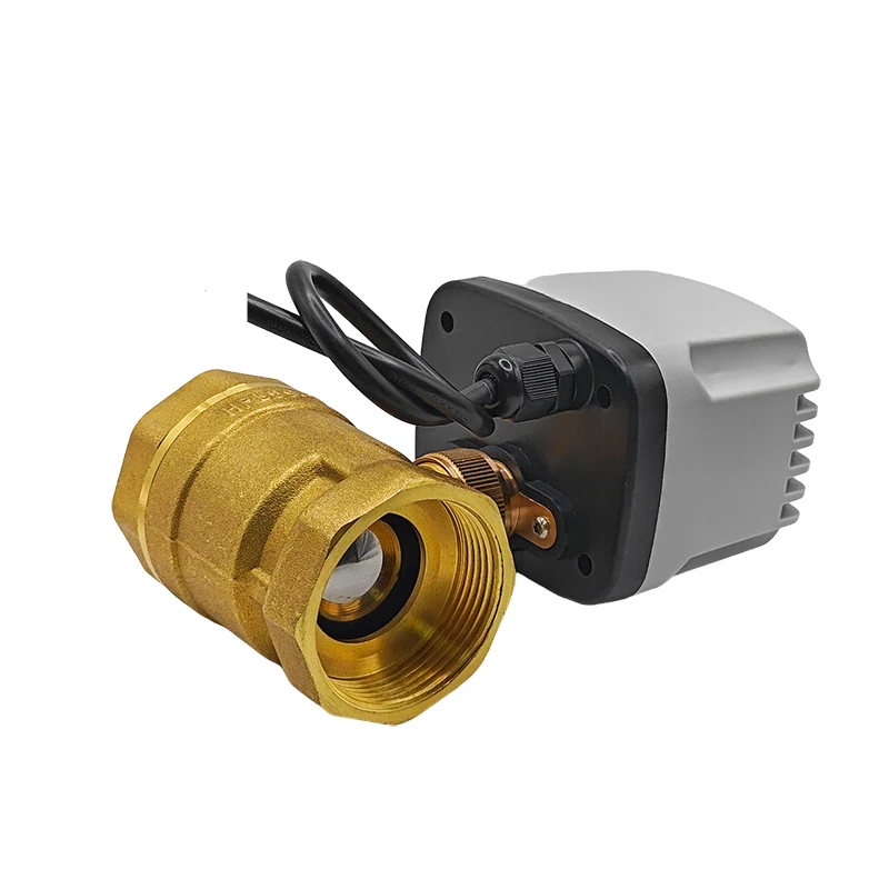 2-проводной водонепроницаемый моторизованный шаровой кран, латунный сброс отключения питания, 8 Н·м, большой крутящий момент, 12 В постоянного тока, 24 В постоянного тока, 110 В переменного тока, 220 В, электрический водяной клапан
2-проводной водонепроницаемый моторизованный шаровой кран, латунный сброс отключения питания, 8 Н·м, большой крутящий момент, 12 В постоянного тока, 24 В постоянного тока, 110 В переменного тока, 220 В, электрический водяной клапан