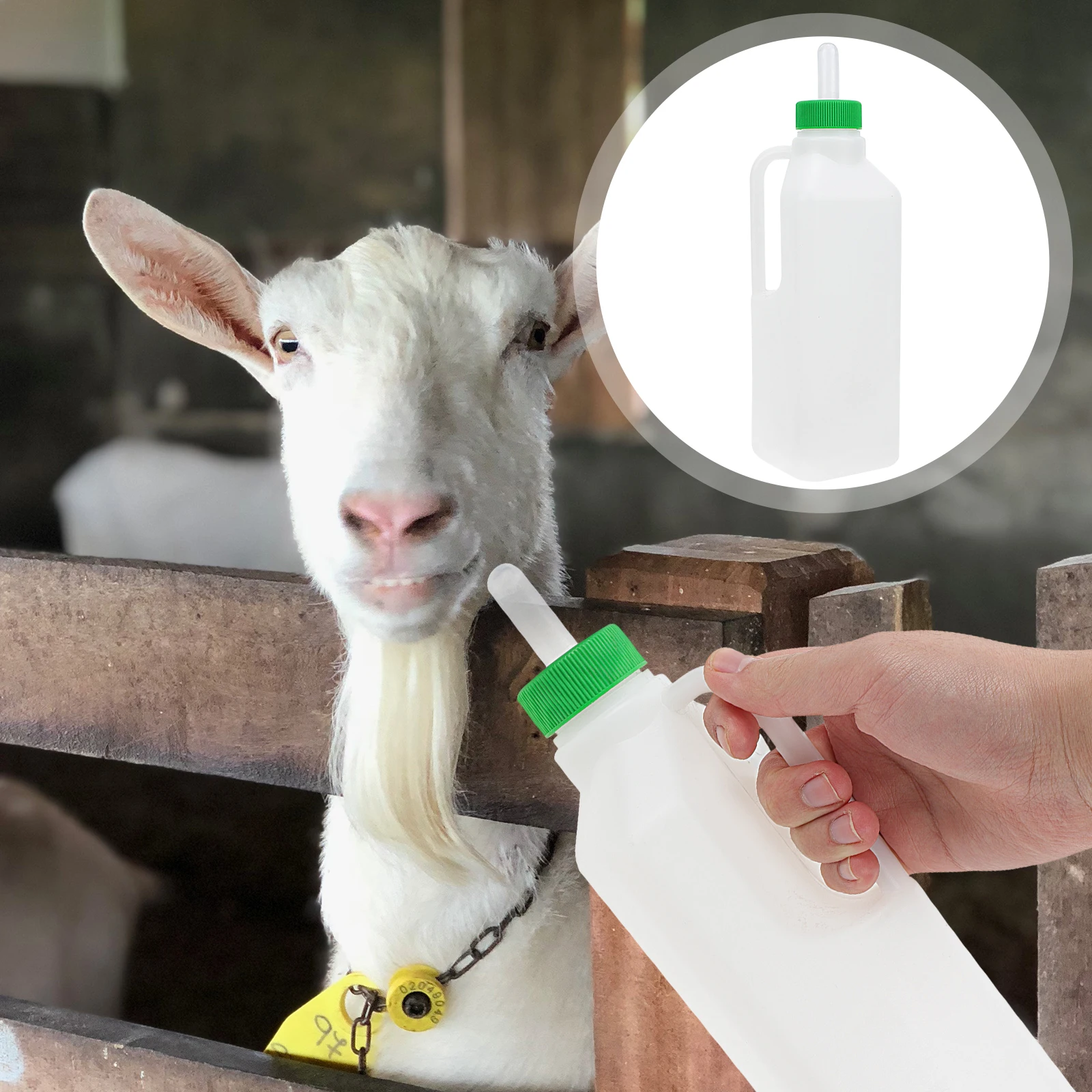 1 set 850ML Sheep Milk Bottle for Lambs Calves Goat Feeding Durable Anti Bite Wear Resistant Pet Farm Bottle Animal Feeding
1 set 850ML Sheep Milk Bottle for Lambs Calves Goat Feeding Durable Anti Bite Wear Resistant Pet Farm Bottle Animal Feeding