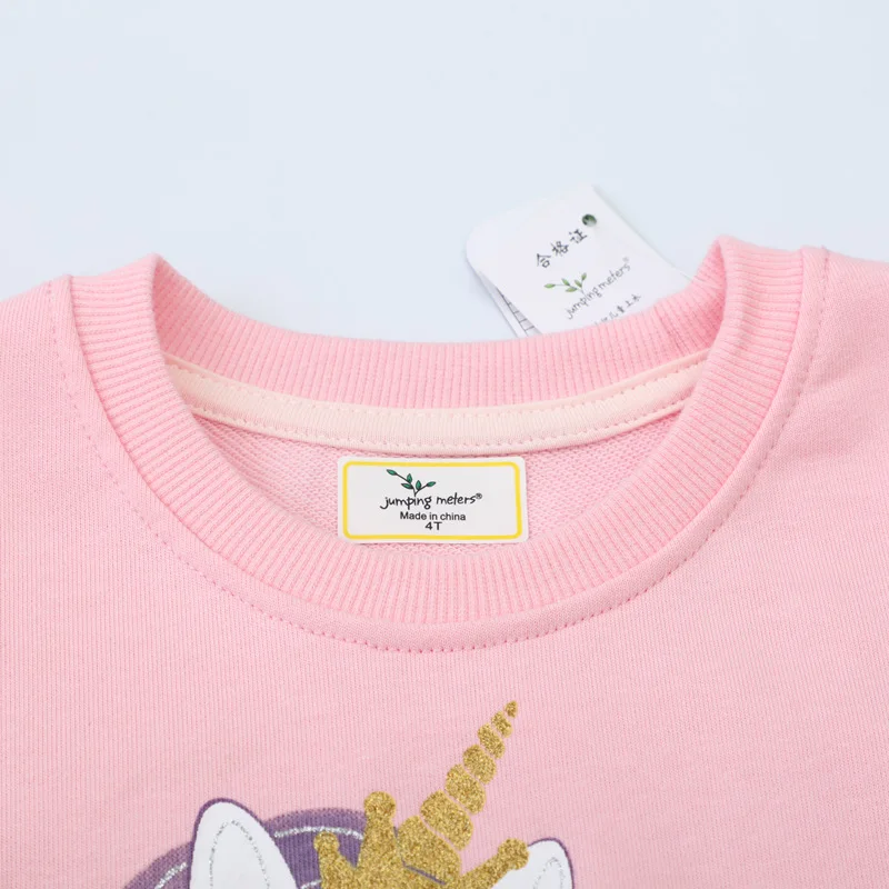 Style Children's Clothing Girls' Sweatshirt Knitted Terry Cotton Long Sleeve Sweatshirt New Girls' Autumn Outfit 
Style Children's Clothing Girls' Sweatshirt Knitted Terry Cotton Long Sleeve Sweatshirt New Girls' Autumn Outfit