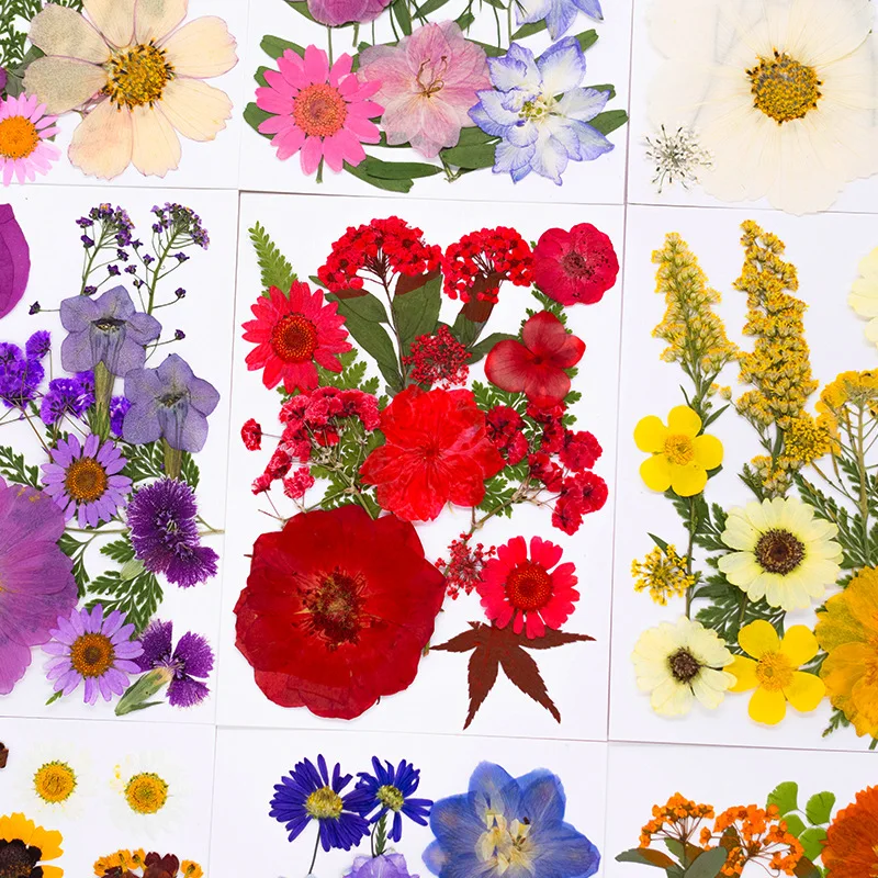 15Pcs Mixed Pack of New Embossed Handmade DIY Material Kits for Makeup Styling, Personal Photo Shoots, Face Makeup, Dried Flower Embossed Plant Specimens
15Pcs Mixed Pack of New Embossed Handmade DIY Material Kits for Makeup Styling, Personal Photo Shoots, Face Makeup, Dried Flower Embossed Plant Specimens