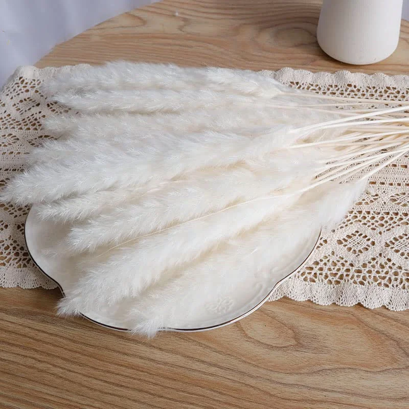 35PCS Dried Flower Small White Pampas Grass Boho Home Decor Country Wedding Decoration Artificial Plants Bouquet Table Ornament
35PCS Dried Flower Small White Pampas Grass Boho Home Decor Country Wedding Decoration Artificial Plants Bouquet Table Ornament