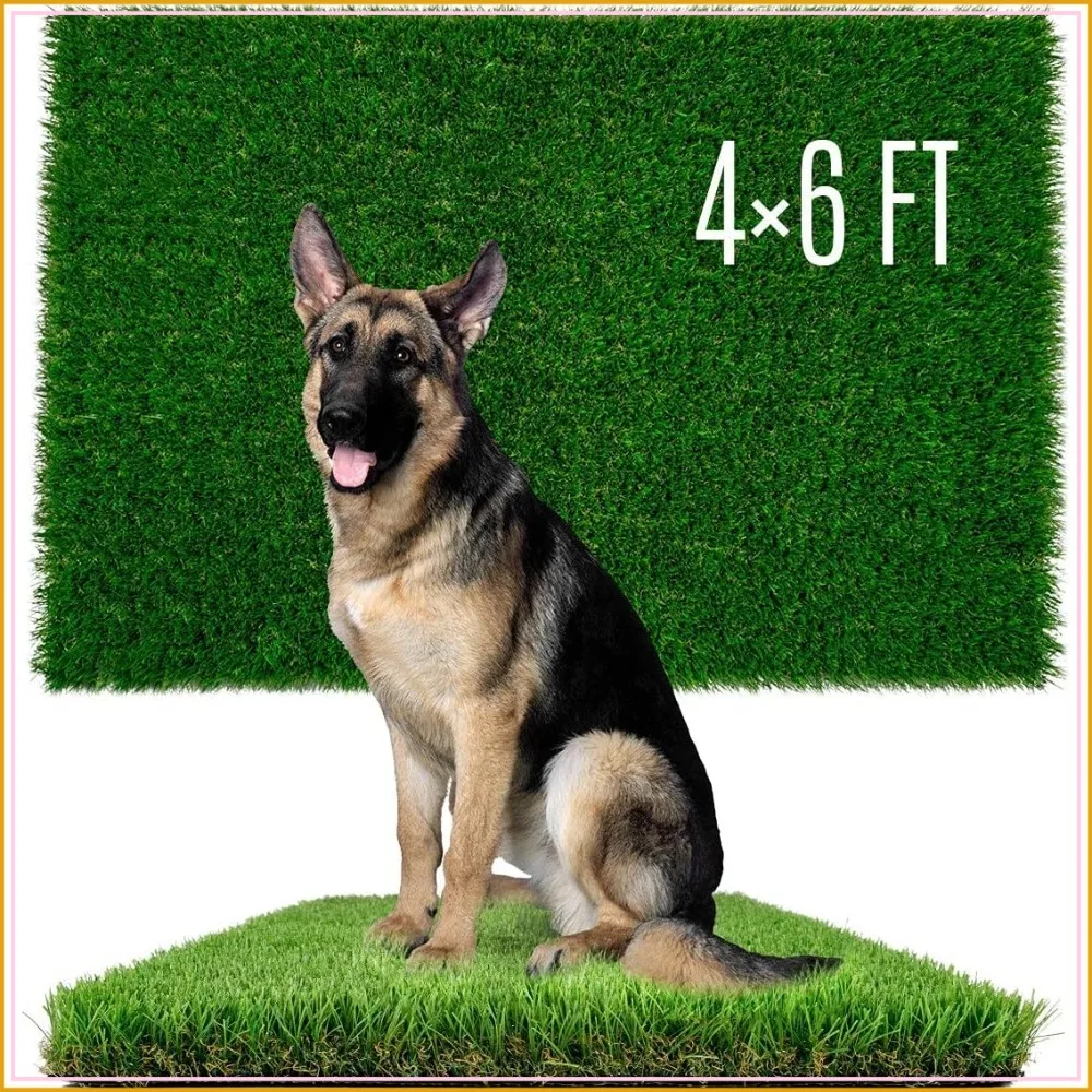 4x6ft Extra Large Artificial Grass for Dogs, Realistic Fake Turf for Potty Training, Reusable Puppy Pee Pad, Indoor Outdoor Use
4x6ft Extra Large Artificial Grass for Dogs, Realistic Fake Turf for Potty Training, Reusable Puppy Pee Pad, Indoor Outdoor Use