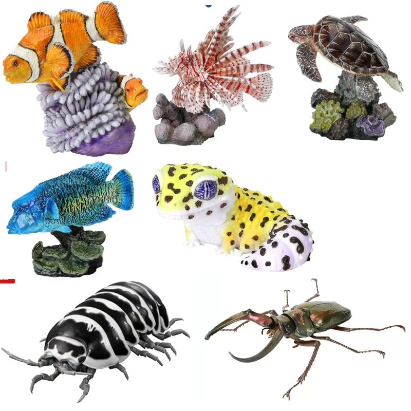 In Stock BANDAI GashaponThe Diversity of Life on Armadillidium vulgare Cheilinus undulatusModel GACHA TOYS Big Biological Map Of
In Stock BANDAI GashaponThe Diversity of Life on Armadillidium vulgare Cheilinus undulatusModel GACHA TOYS Big Biological Map Of