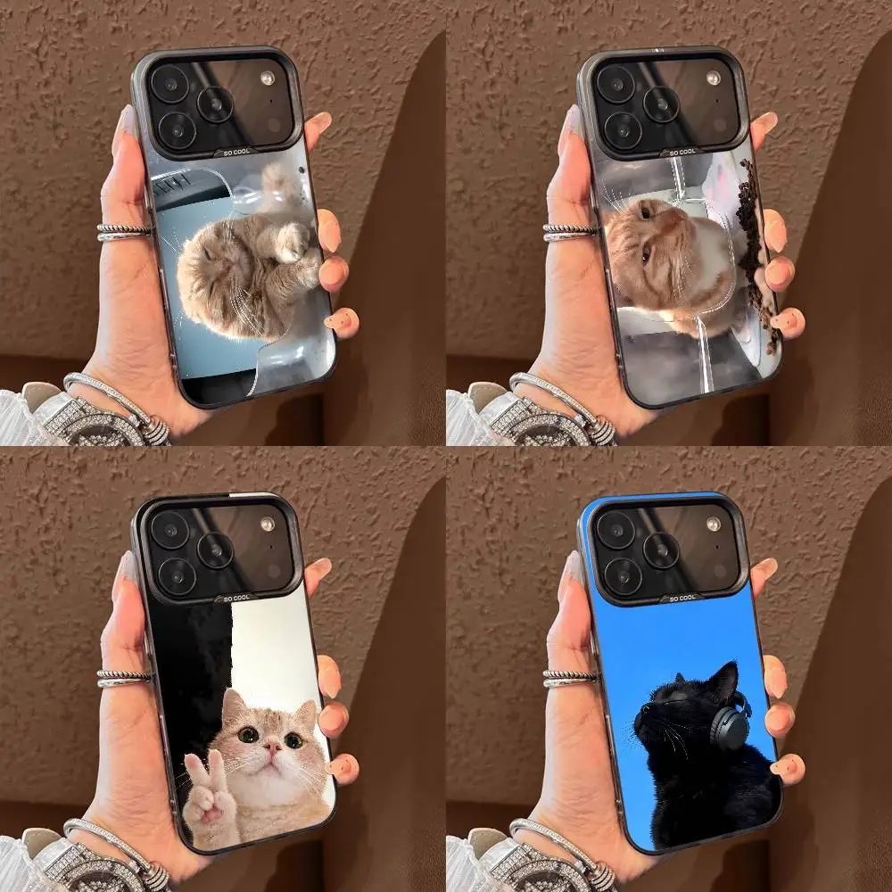 Cat Listen Music Meme Funny M-Mr Fresh Phone Case For iPhone 15,17,11,14,13,16,12,E,Max,Plus,Air,Pro,Mini Black Matte Cover
Cat Listen Music Meme Funny M-Mr Fresh Phone Case For iPhone 15,17,11,14,13,16,12,E,Max,Plus,Air,Pro,Mini Black Matte Cover