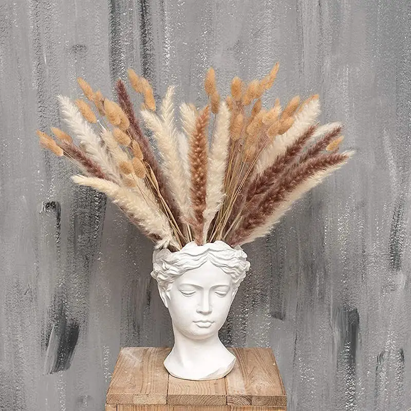 Dried Flower Bouquet Set Arrangements Nature Fluffy Pampas Grass Wedding Decoration Bunny Tail Artificial Flower Boho Home Decor
Dried Flower Bouquet Set Arrangements Nature Fluffy Pampas Grass Wedding Decoration Bunny Tail Artificial Flower Boho Home Decor