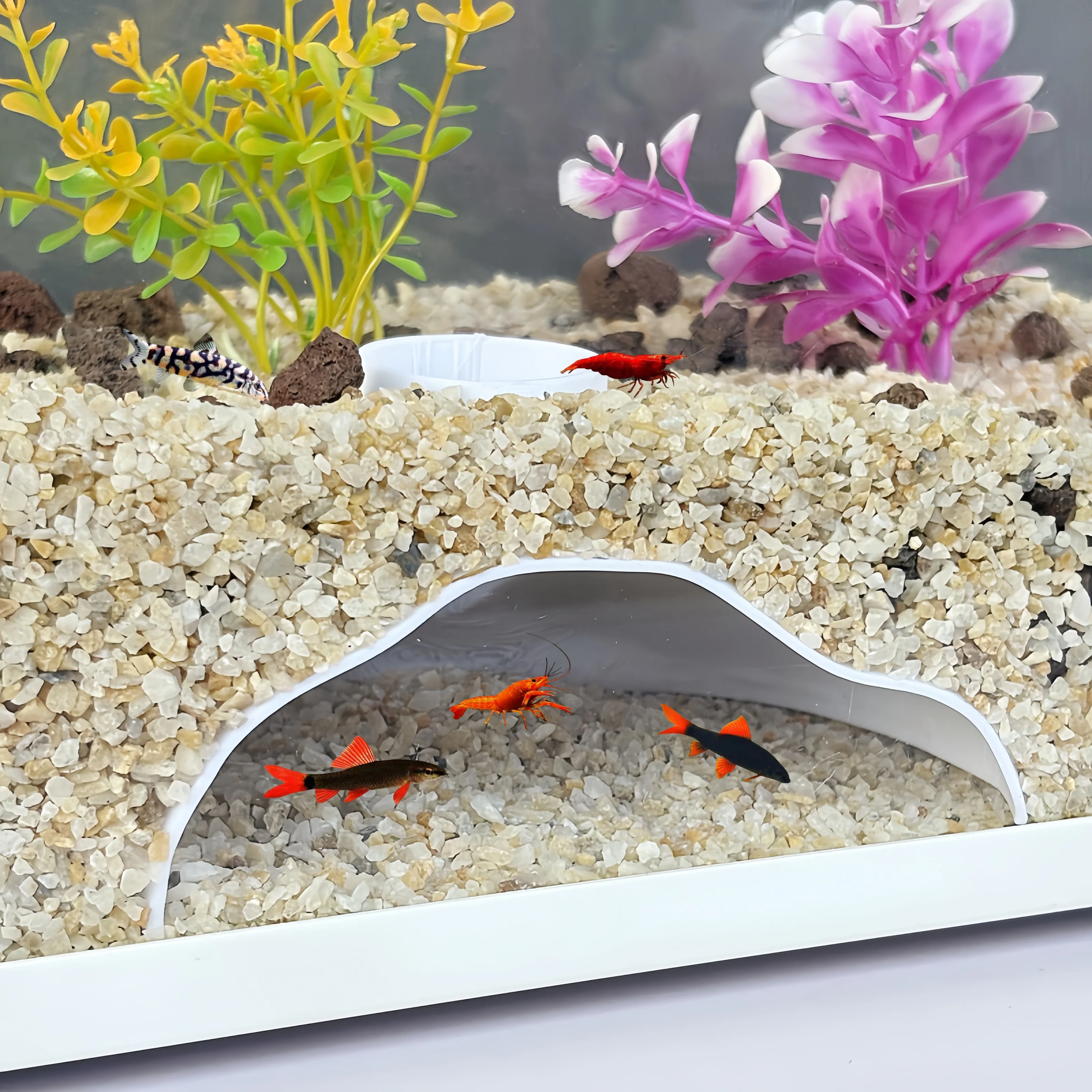 Small fish and shrimp shelters/crawling and amphibian hiding places/aquarium caves/aquarium scenery decoration
Small fish and shrimp shelters/crawling and amphibian hiding places/aquarium caves/aquarium scenery decoration