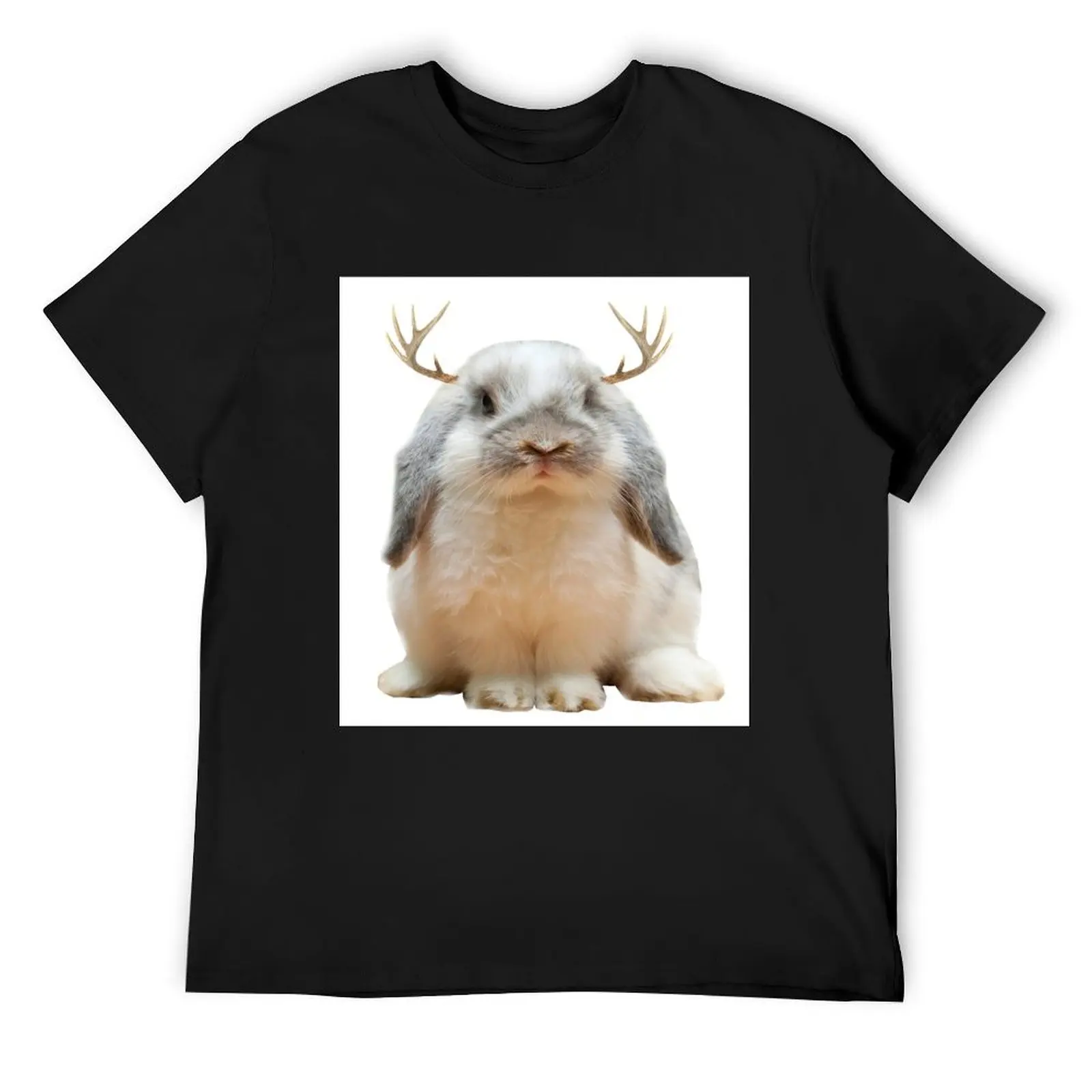 Футболка Jackalope, одежда больших размеров, винтажная одежда, быстросохнущие мужские забавные футболки в стиле аниме
Футболка Jackalope, одежда больших размеров, винтажная одежда, быстросохнущие мужские забавные футболки в стиле аниме