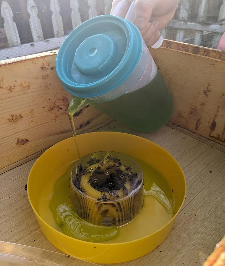 Bee Feeder Drinking Water Beekeeping Honey Bee Feeders Watering Round Beehive Feeder Bee Drinker Tool Beekeeping Tools Equipment
Bee Feeder Drinking Water Beekeeping Honey Bee Feeders Watering Round Beehive Feeder Bee Drinker Tool Beekeeping Tools Equipment