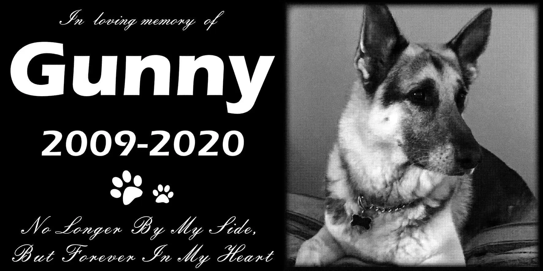 Natural Granite Personalized Pet Memorial Stone, Creative Cat Dog Paws Print Pets Tombstone, 30X15CM
Natural Granite Personalized Pet Memorial Stone, Creative Cat Dog Paws Print Pets Tombstone, 30X15CM