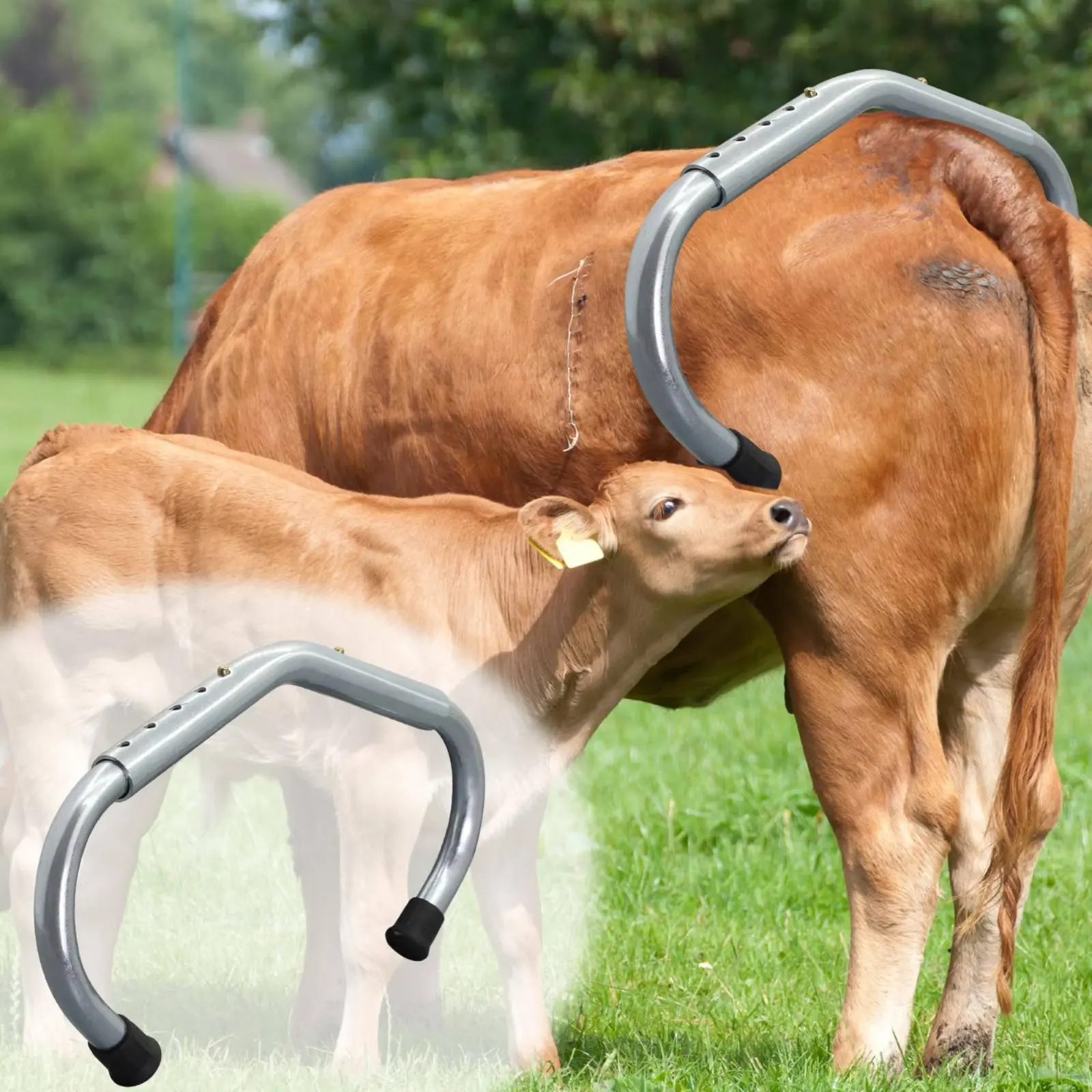 Cow Anti-Strike Bar Sturdy Duty Cattle Strike Stop Device Adjustable Cow Immobilizer Detachable Design for Veterinary Procedures
Cow Anti-Strike Bar Sturdy Duty Cattle Strike Stop Device Adjustable Cow Immobilizer Detachable Design for Veterinary Procedures