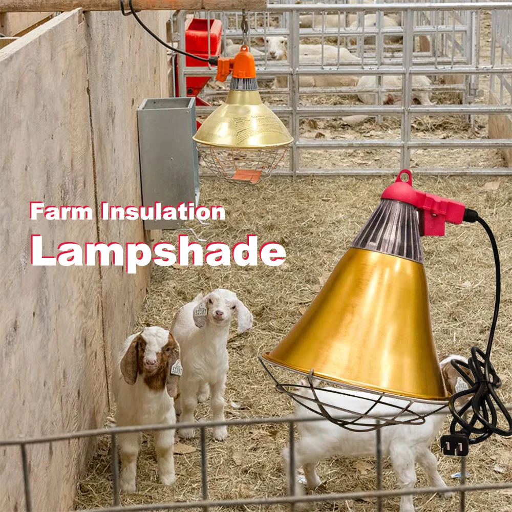 Insulation Lampshade Brooding Chicks Heating Lampshade Temperature Adjustment Lampshade Amphibious Reptile Lighting Accessories
Insulation Lampshade Brooding Chicks Heating Lampshade Temperature Adjustment Lampshade Amphibious Reptile Lighting Accessories