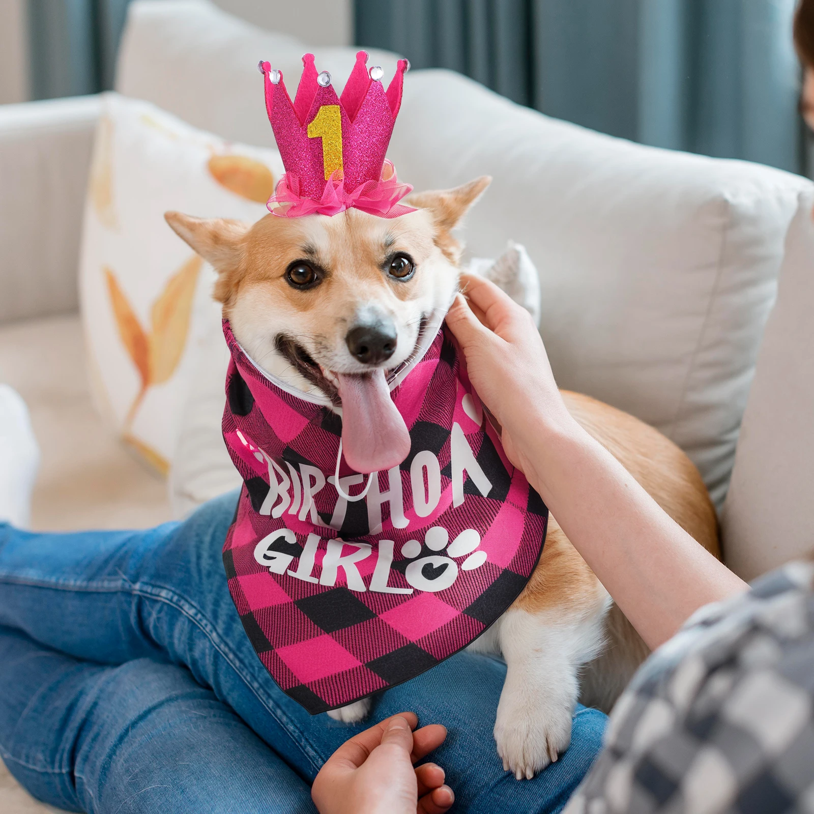 Pet Suit Safe Materials Costumes Small Outfit Cat Hat Puppy Banner B Decorations Dog Crown Girl Dog Birthday Outfit
Pet Suit Safe Materials Costumes Small Outfit Cat Hat Puppy Banner B Decorations Dog Crown Girl Dog Birthday Outfit