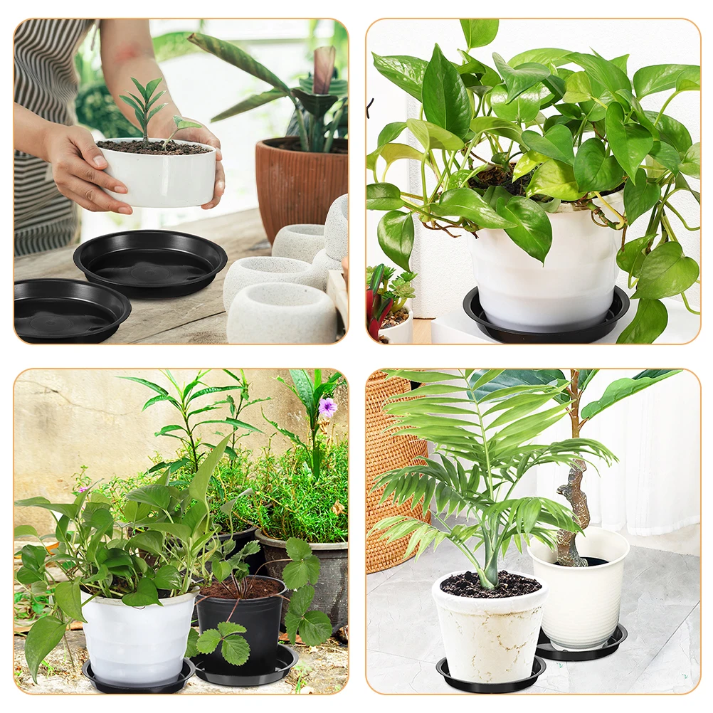2pcs 32cm Plant Saucers Black PP Circular Flowerpot Trays Waterproof Pot Dishes Protection Gardening Home Decor Plant Pots
2pcs 32cm Plant Saucers Black PP Circular Flowerpot Trays Waterproof Pot Dishes Protection Gardening Home Decor Plant Pots