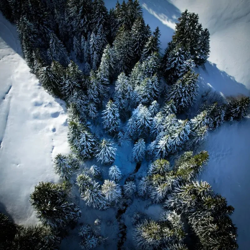 GEPRC SPEEDX2 2207E 1960KV 6S Brushless Motor - 50A ESC Compatible 4-5 Inch High Power Heat Dissipation FPV RC Models
GEPRC SPEEDX2 2207E 1960KV 6S Brushless Motor - 50A ESC Compatible 4-5 Inch High Power Heat Dissipation FPV RC Models