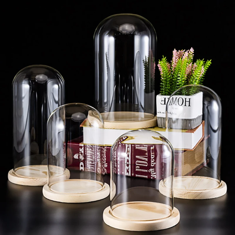 Figure Glass Display Box Immortal Flower Glass Cover Display Cloche Dome With Solid Wood Base Office Home Table Top Decoration
Figure Glass Display Box Immortal Flower Glass Cover Display Cloche Dome With Solid Wood Base Office Home Table Top Decoration