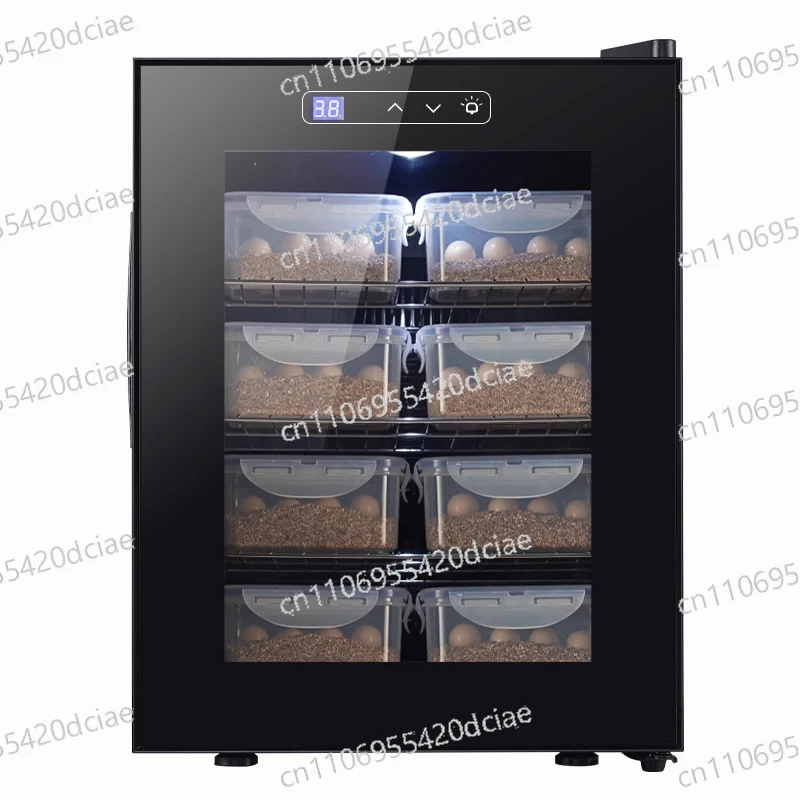 Large Capacity 48L Incubator, Multi-functional Turtle Egg Hatching Device
Large Capacity 48L Incubator, Multi-functional Turtle Egg Hatching Device