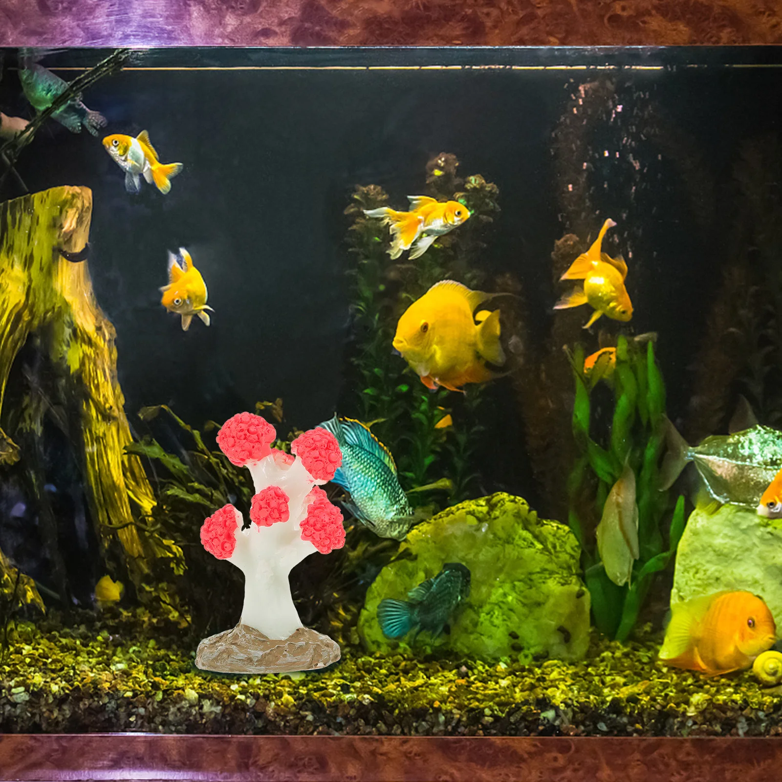 3Pcs Lifelike Resin Coral Statue Perfect Gift for Fish Tank Enthusiasts Aquarium Coral Ornament Fish Tank Decoration
3Pcs Lifelike Resin Coral Statue Perfect Gift for Fish Tank Enthusiasts Aquarium Coral Ornament Fish Tank Decoration