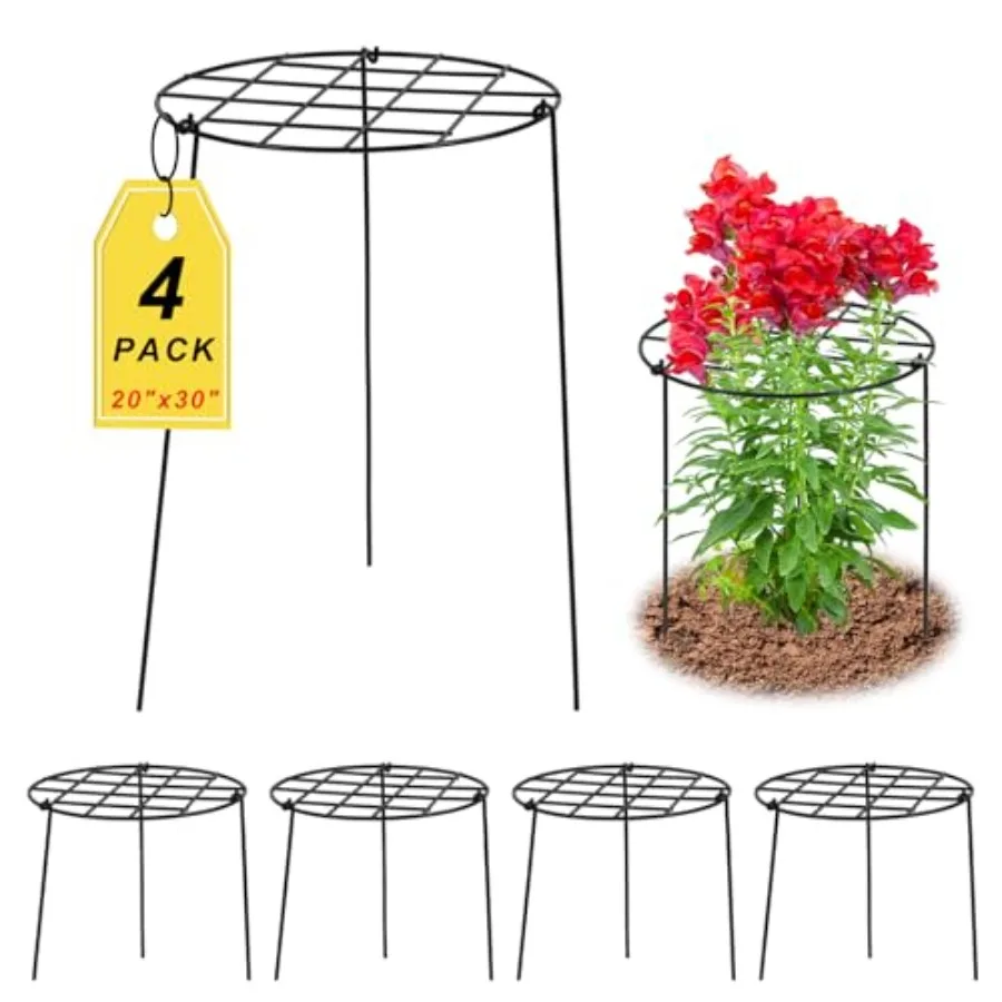 4 Pack Round Peony Cages and Supports 20 x 30 Inches D x H Grow Through Grid Plant Brace Plant Support Stake Heavy Duty Metal F
4 Pack Round Peony Cages and Supports 20 x 30 Inches D x H Grow Through Grid Plant Brace Plant Support Stake Heavy Duty Metal F