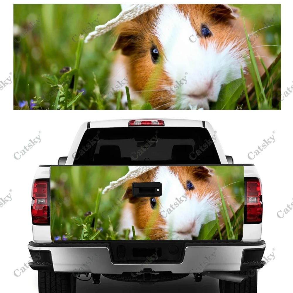 Cute Guinea Pig Print Car Tail Trunk Protect Vinly Wrap Sticker Decal Auto Hood Decoration Engine Cover for SUV Off-road Pickup
Cute Guinea Pig Print Car Tail Trunk Protect Vinly Wrap Sticker Decal Auto Hood Decoration Engine Cover for SUV Off-road Pickup