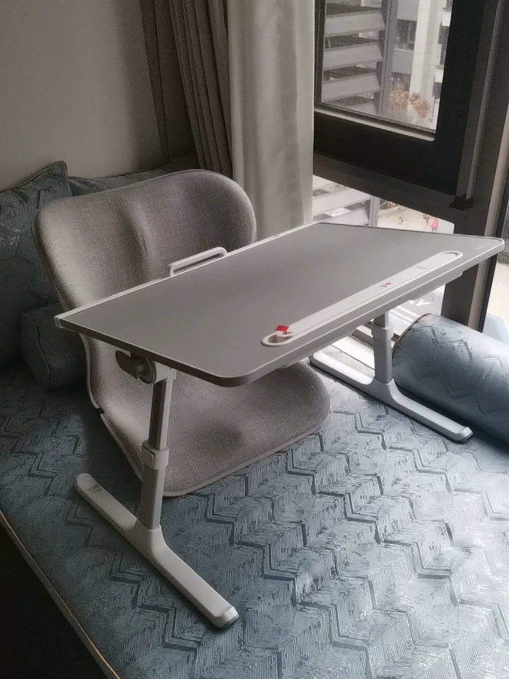 Foldable Bed Study Desk with LED Light Adjustable Laptop Table for Student Dorm Reading Stand Kids Writing Board
Foldable Bed Study Desk with LED Light Adjustable Laptop Table for Student Dorm Reading Stand Kids Writing Board