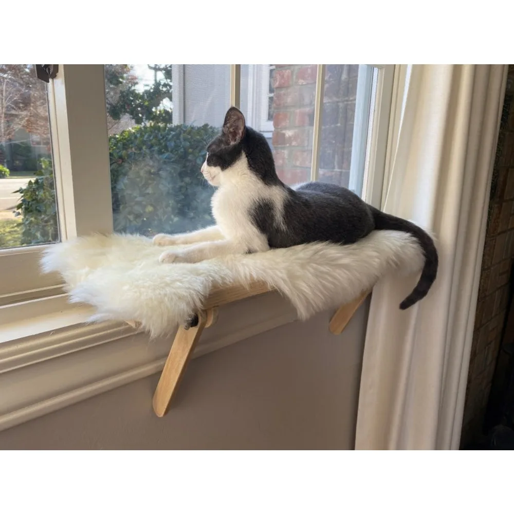 Cat Window Perch, Cat Shelf, Window Sill, No Tools Installation, No Nails Needed
Cat Window Perch, Cat Shelf, Window Sill, No Tools Installation, No Nails Needed