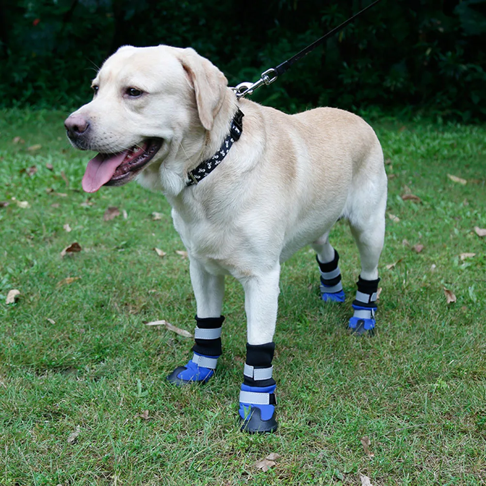 4 pcs Dog Long Shoes Waterproof Rain Boots Snow Non Slip Reflective Straps Warm Comfortable Pet Winter Footwear for Small Dogs
4 pcs Dog Long Shoes Waterproof Rain Boots Snow Non Slip Reflective Straps Warm Comfortable Pet Winter Footwear for Small Dogs
