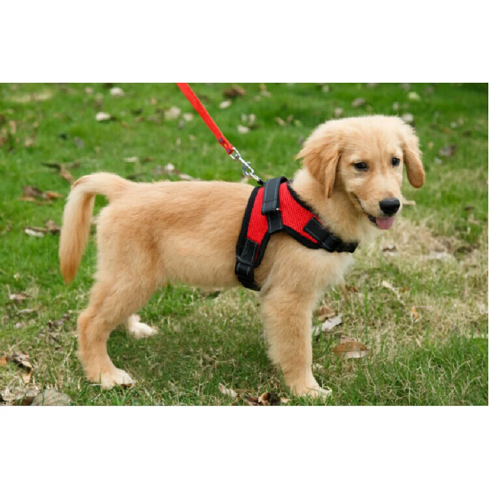 Saddle Type Dog Harness Medium Large Puppy Mesh Red Durable Fabric Quick Release Buckle Free Movement Pet Harness Accessories 
Saddle Type Dog Harness Medium Large Puppy Mesh Red Durable Fabric Quick Release Buckle Free Movement Pet Harness Accessories