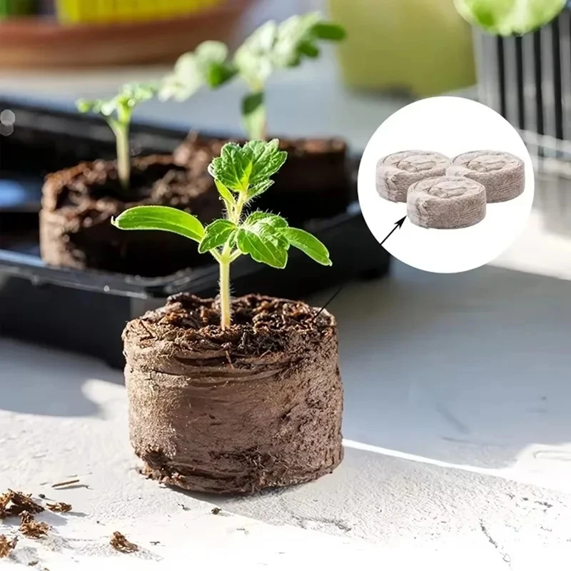 New Planting Soil Blocks Plug Nutrition Compressed Peat Blocks Coconut Soil Peat Compressed Seedling Blocks
New Planting Soil Blocks Plug Nutrition Compressed Peat Blocks Coconut Soil Peat Compressed Seedling Blocks