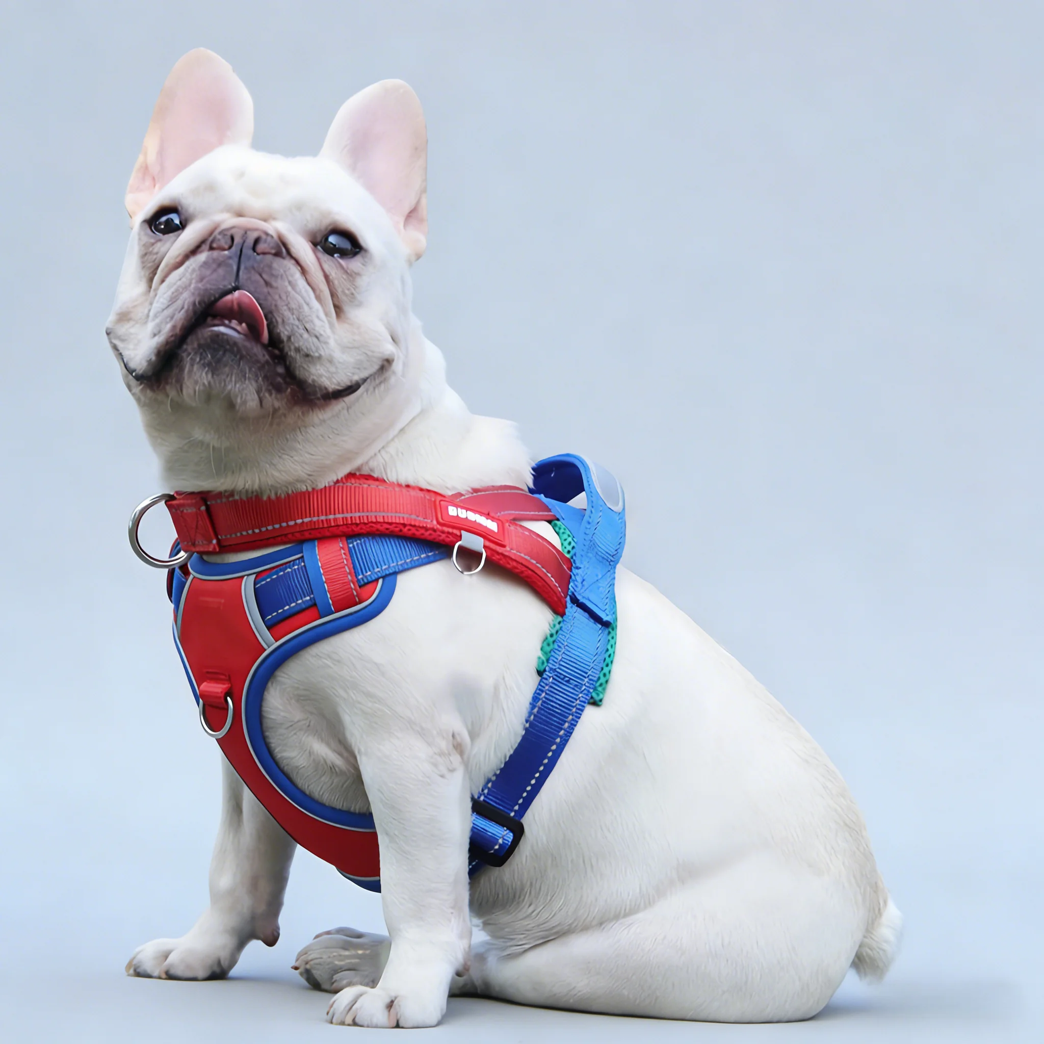 Dopamine Dogs Harness Saddle-type Pet Chest Strap for Small Medium Large Dogs Harnesses Puppy Collar Walking Dogs Supplies
Dopamine Dogs Harness Saddle-type Pet Chest Strap for Small Medium Large Dogs Harnesses Puppy Collar Walking Dogs Supplies
