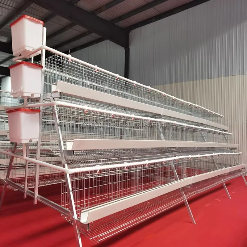 Livestock Equipment A Type 3 Tier 96 Chick Hen Breeding Cages Poultry Farm Layer Chicken Cage
Livestock Equipment A Type 3 Tier 96 Chick Hen Breeding Cages Poultry Farm Layer Chicken Cage