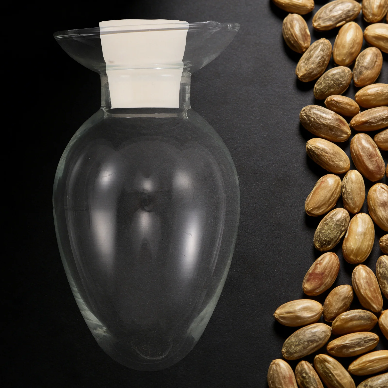 4Pcs Seed Sample Bottles Glass Storage Container Stopper Seed Organizer Transparent Cloche Lab Glass Vials Home Garden Use
4Pcs Seed Sample Bottles Glass Storage Container Stopper Seed Organizer Transparent Cloche Lab Glass Vials Home Garden Use