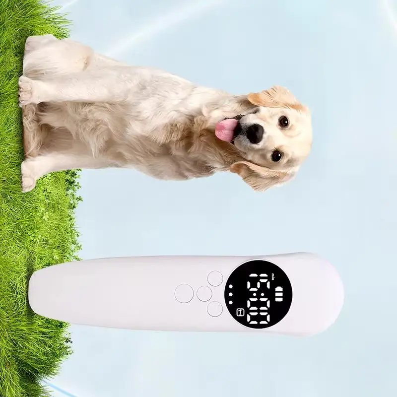Red Light Therapy Belt for Animals Joint Pain Skin Disease 650nm 808nm 14 Diodes Cold Laser Therapy Device for Pets Pain Relief
Red Light Therapy Belt for Animals Joint Pain Skin Disease 650nm 808nm 14 Diodes Cold Laser Therapy Device for Pets Pain Relief