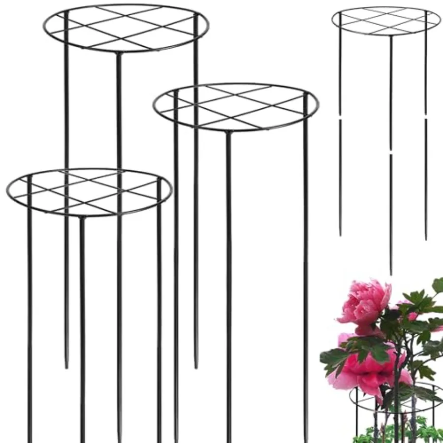 3 Pcs Large Peony Cages and Supports, 31.5"H x 12.6"D Grow Through Plant Support for Outdoor Plants, 7mm Stake Heavy Duty Metal
3 Pcs Large Peony Cages and Supports, 31.5"H x 12.6"D Grow Through Plant Support for Outdoor Plants, 7mm Stake Heavy Duty Metal