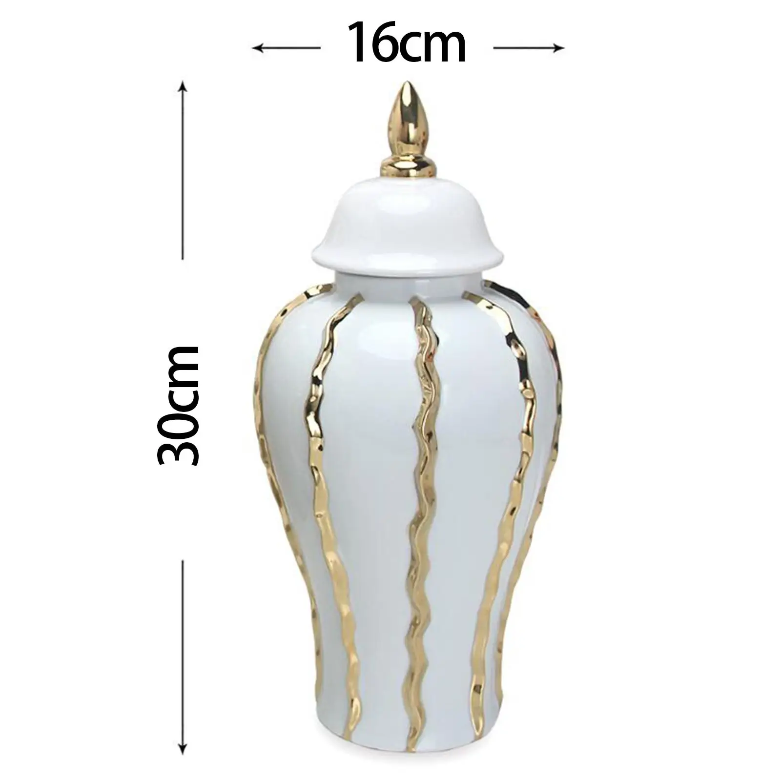 Ceramic Vase Display Fine Workmanship Traditional Porcelain Ginger Jar for Party
Ceramic Vase Display Fine Workmanship Traditional Porcelain Ginger Jar for Party
