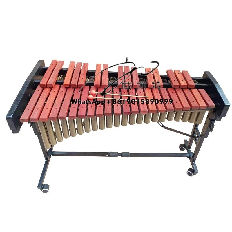 Распродажа 37-клавишный ксилофон с подставкой, оптовая продажа, обучающая игрушка Орфа, детский ударный инструмент, деревянный глокеншпиль
Распродажа 37-клавишный ксилофон с подставкой, оптовая продажа, обучающая игрушка Орфа, детский ударный инструмент, деревянный глокеншпиль