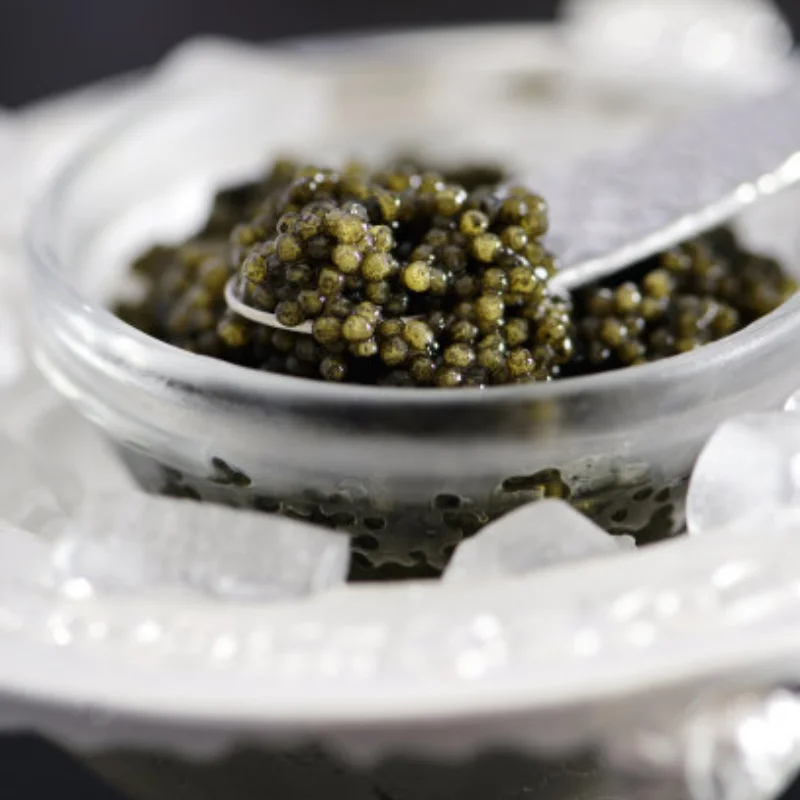 RC the adjustable chain of the rear fork and swing arm of the LOSI 1/4 Promoto-MX electric motorcycle, LOS264000
RC the adjustable chain of the rear fork and swing arm of the LOSI 1/4 Promoto-MX electric motorcycle, LOS264000