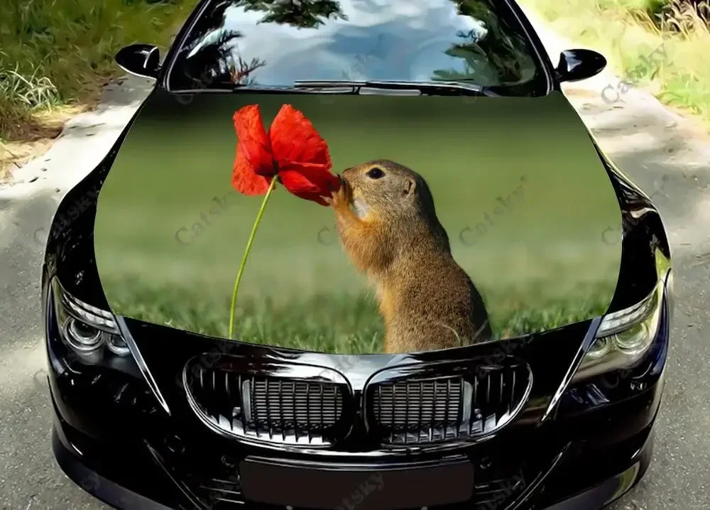 Funny Animal - Gopher Car Hood Vinyl Stickers Wrap Vinyl Film Engine Cover Decals Sticker on Car Auto Accessories
Funny Animal - Gopher Car Hood Vinyl Stickers Wrap Vinyl Film Engine Cover Decals Sticker on Car Auto Accessories