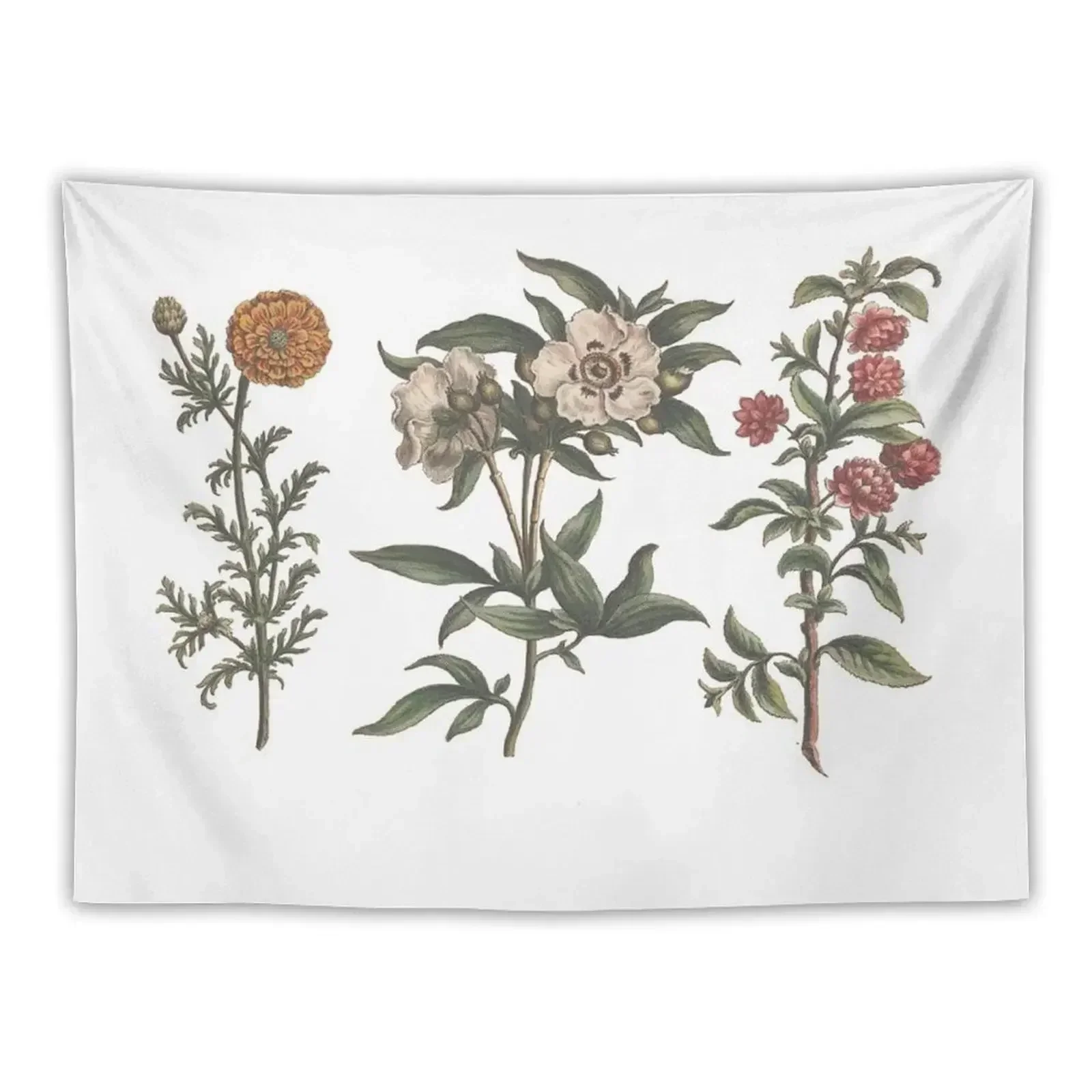 Vintage Botanical Flower Chart Tapestry Carpet On The Wall Decor For Bedroom Tapestry
Vintage Botanical Flower Chart Tapestry Carpet On The Wall Decor For Bedroom Tapestry